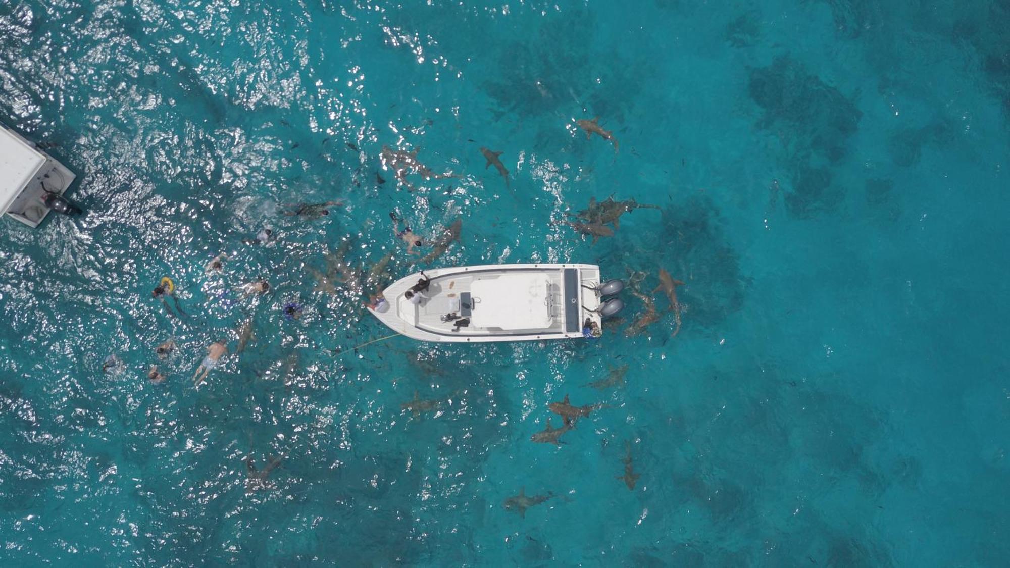 Ocean Pearl Maldives At Gulhi Island Ξενοδοχείο Εξωτερικό φωτογραφία