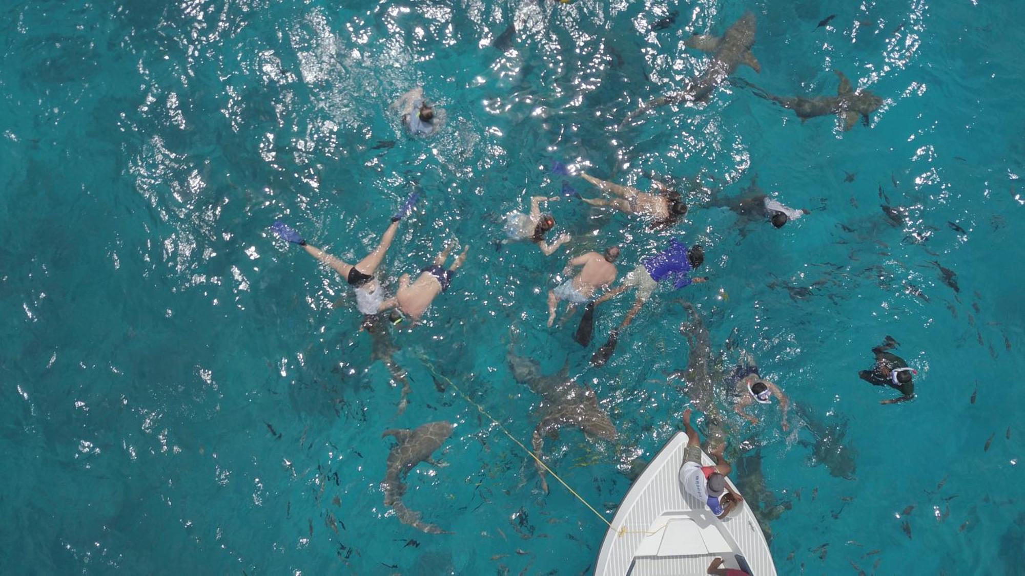 Ocean Pearl Maldives At Gulhi Island Ξενοδοχείο Εξωτερικό φωτογραφία
